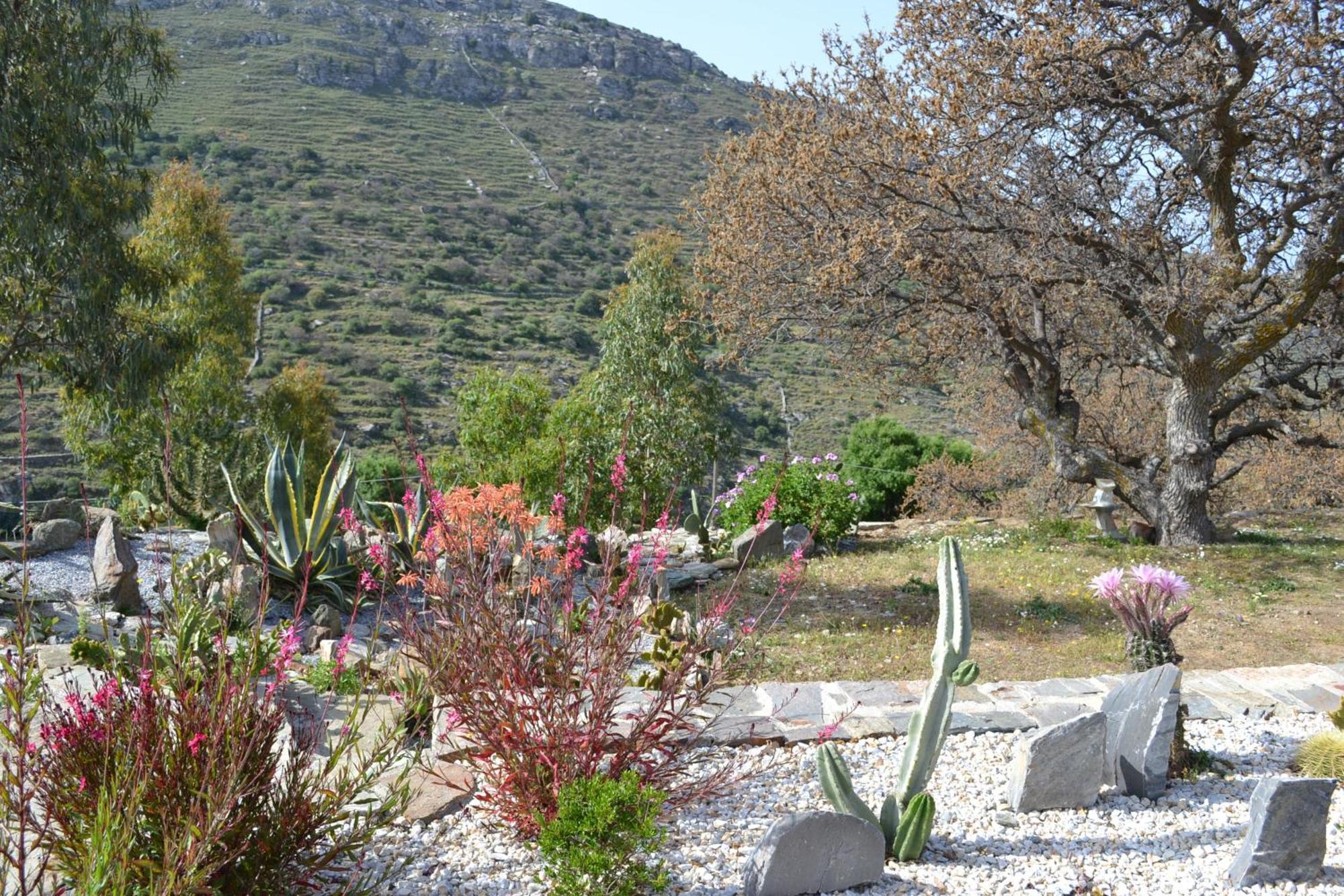 Rural Guest House B&B Chavouna Buitenkant foto